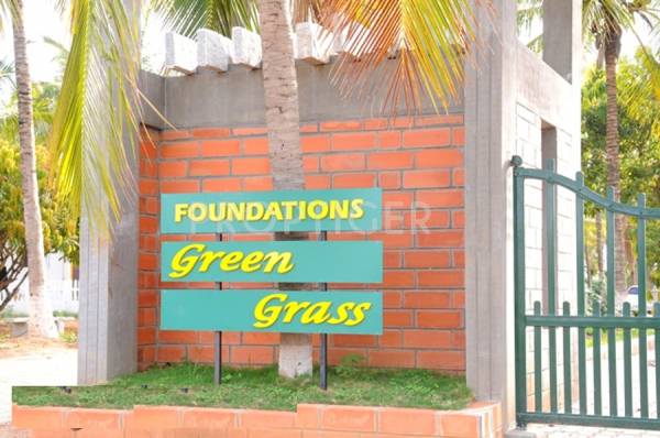 foundations green-grass Main Other