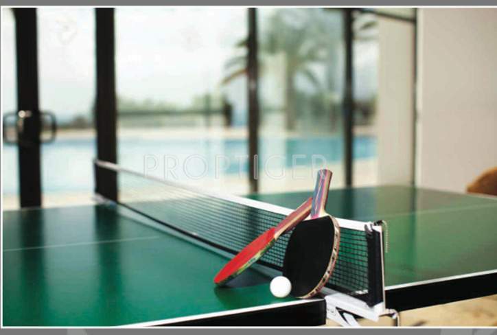 serenity Images for Amenities of Celebrity Serenity