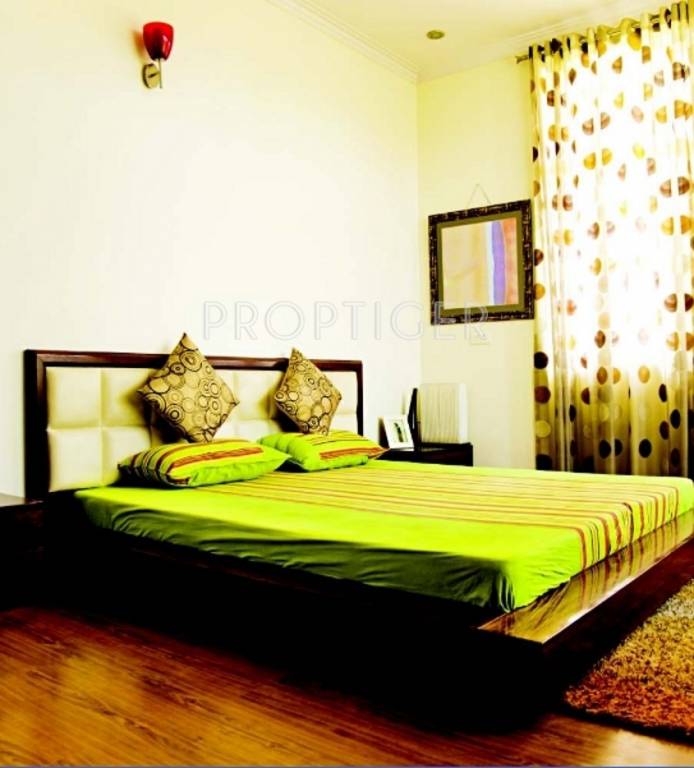 Images for Main Other of Mayflower Caladium