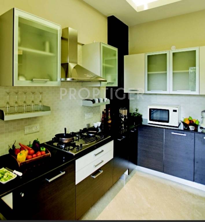 Images for Main Other of Mayflower Caladium