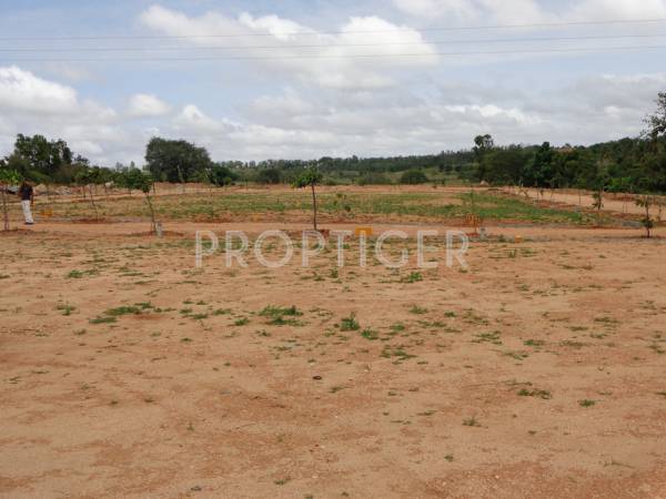 Images for Main Other of Niche Talent City Images for Main Other of Niche Talent City