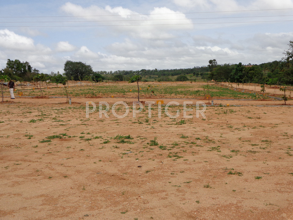 Images for Main Other of Niche Talent City