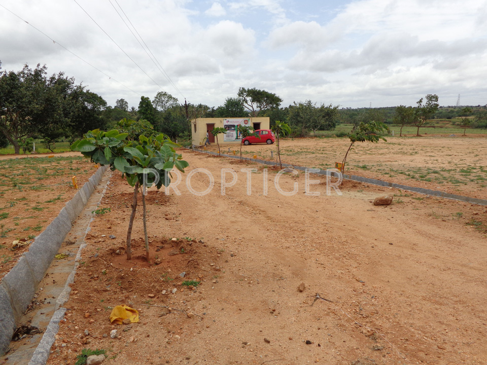 Images for Main Other of Niche Talent City