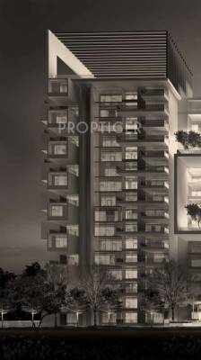  reflection Images for Elevation of DNR Reflection