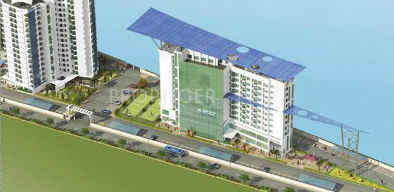  exuberance Images for Elevation of Chandra Exuberance