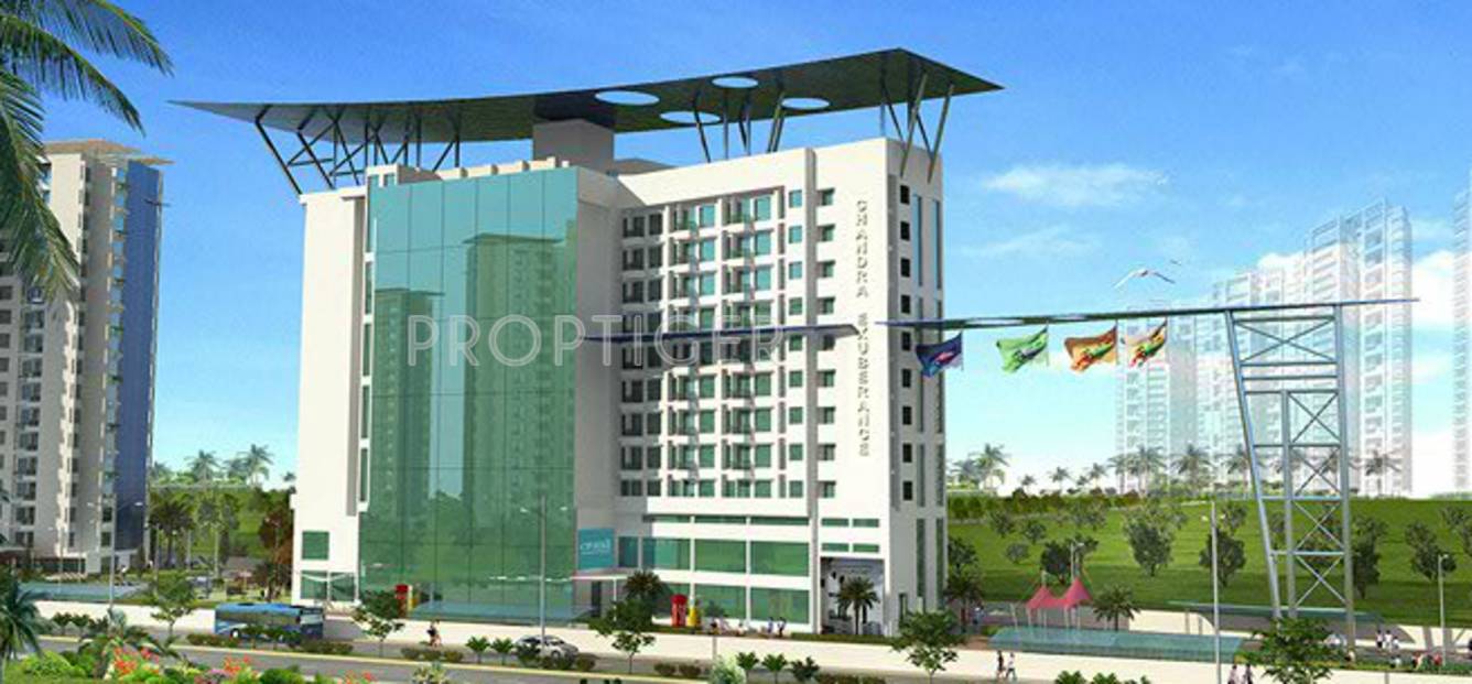  exuberance Images for Elevation of Chandra Exuberance