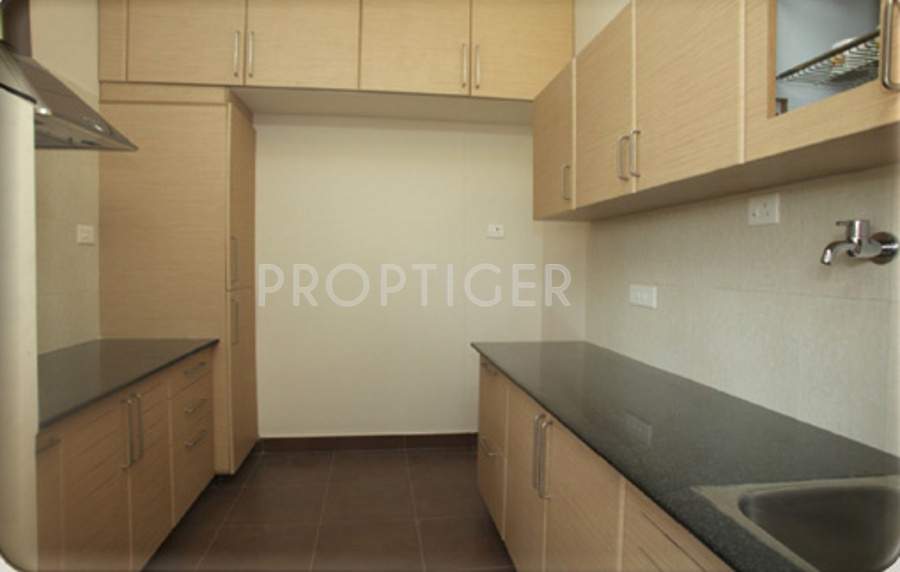 mangal home builders private limited shri gangeya Main Other