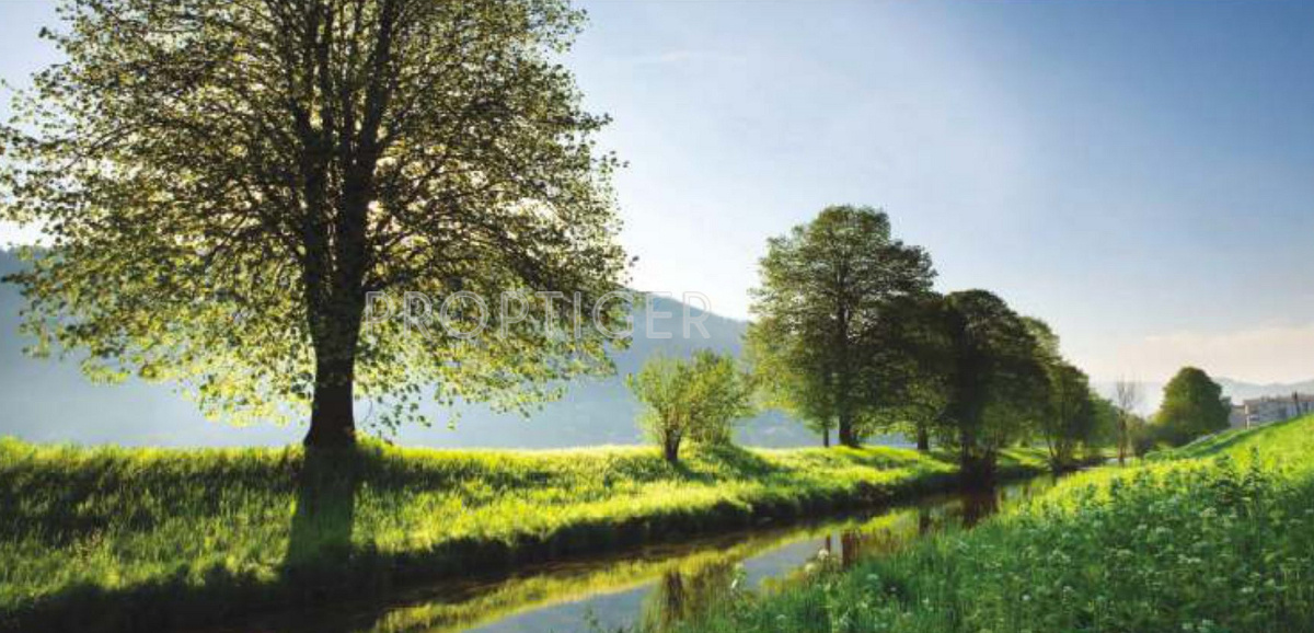 Images for Main Other of Prestigious Highway Homes