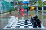  basileo Chess Board