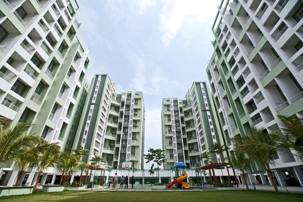  basileo Landscape Garden and Tree Planting