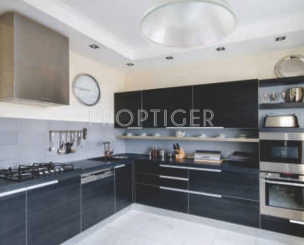 Images for Main Other of Jhamtani Ace Aura