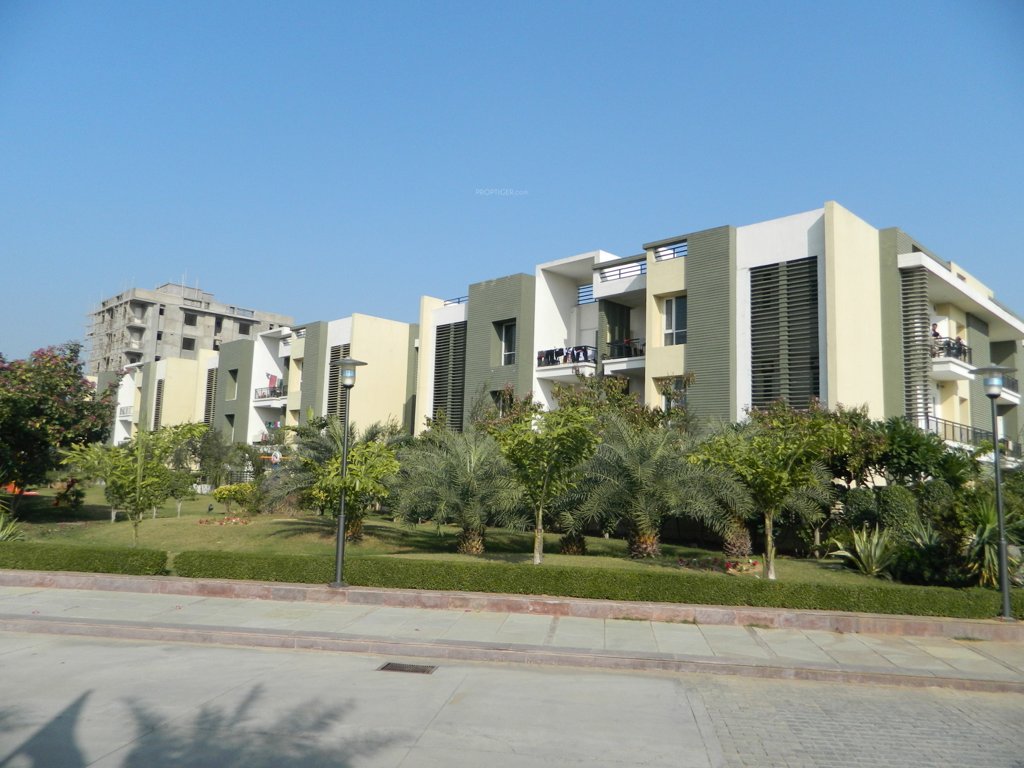 Images for Elevation of Ashadeep Group Gulmohar Walkup Apartment