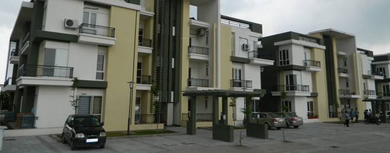 Images for Elevation of Ashadeep Group Gulmohar Walkup Apartment