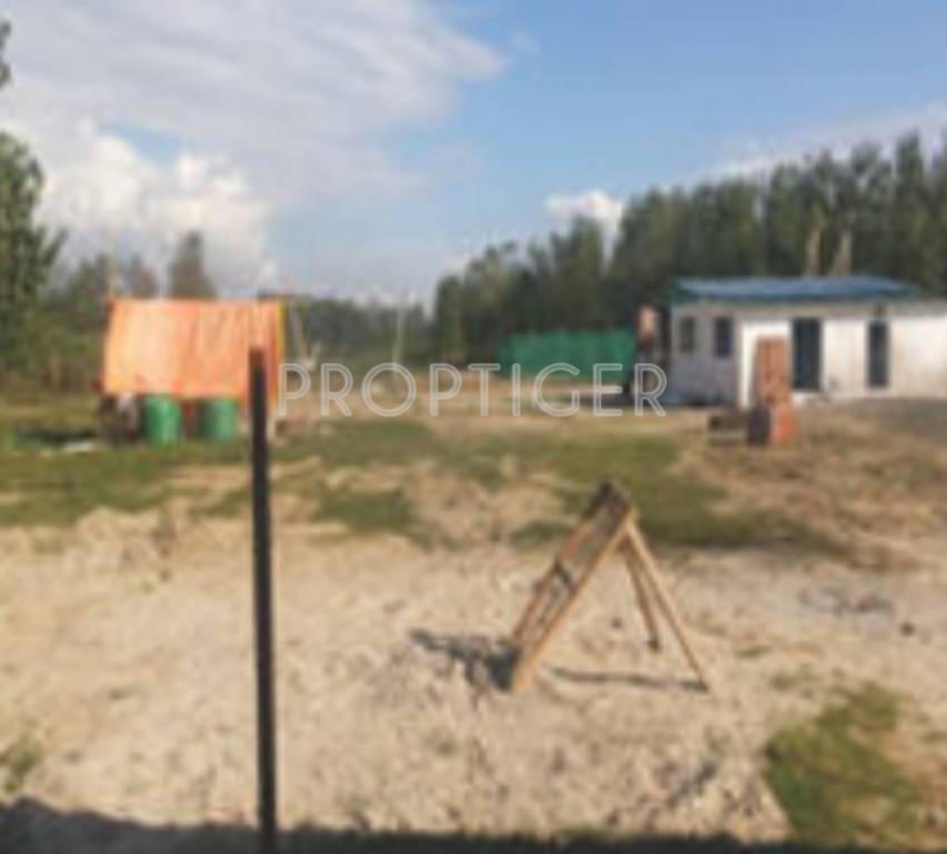 rajasthans group sariska green Main Other