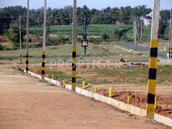 abd-infra sunshine Main Other