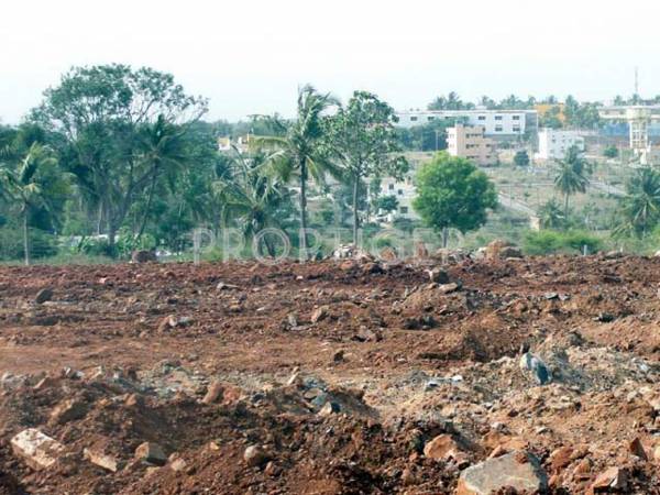 abd-infra sunshine Main Other