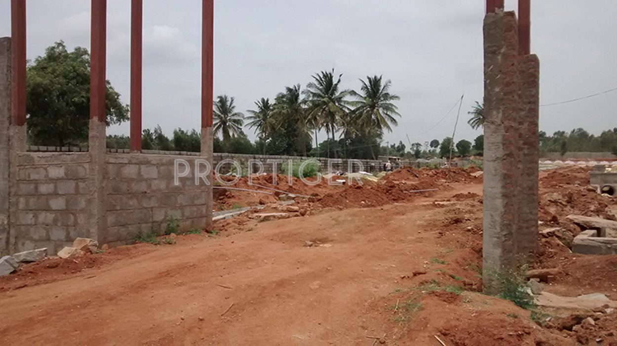 Images for Main Other of Aashish Woods