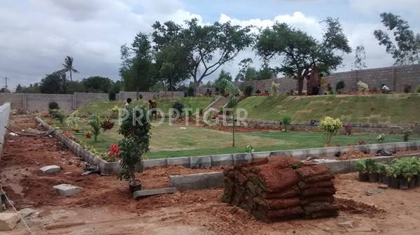 Images for Main Other of Aashish Woods