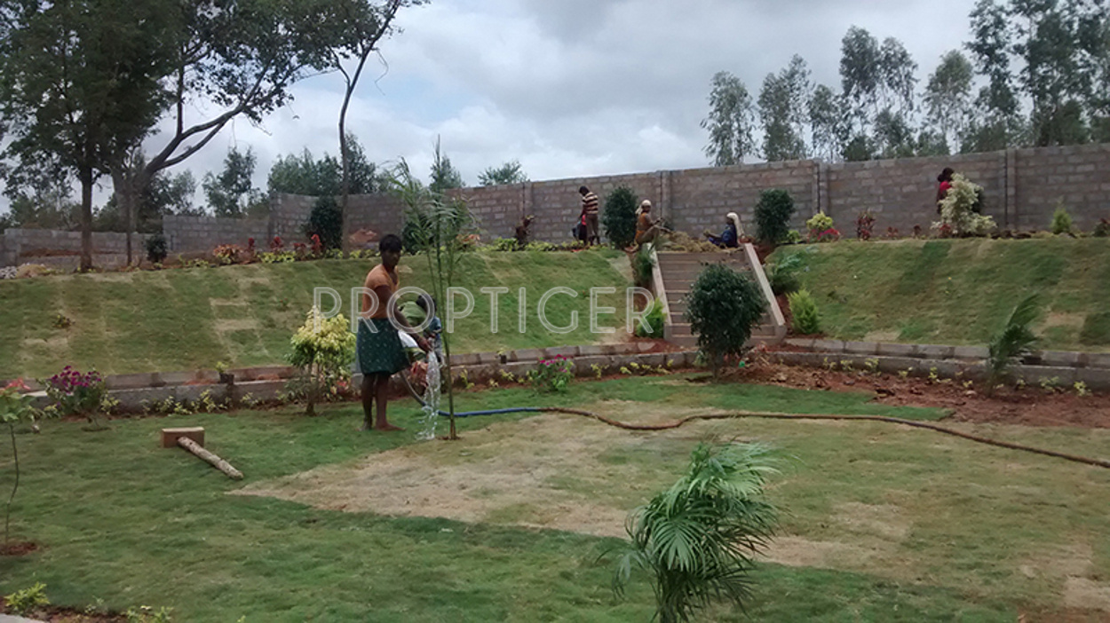 Images for Main Other of Aashish Woods