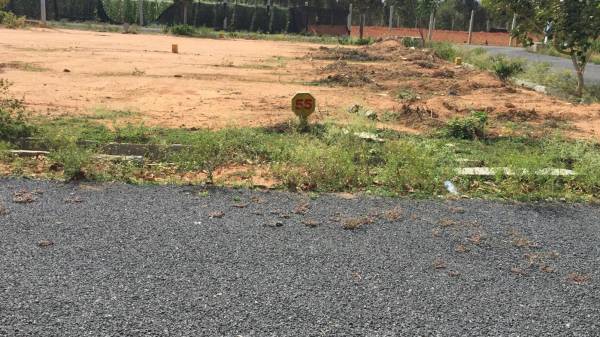 Elevation atlantis Elevation