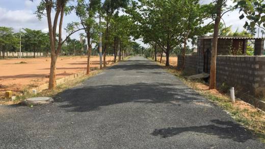 atlantis Elevation Elevation