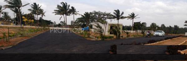 Images for Main Other of Sizzle Properties Atlantis Images for Main Other of Sizzle Properties Atlantis