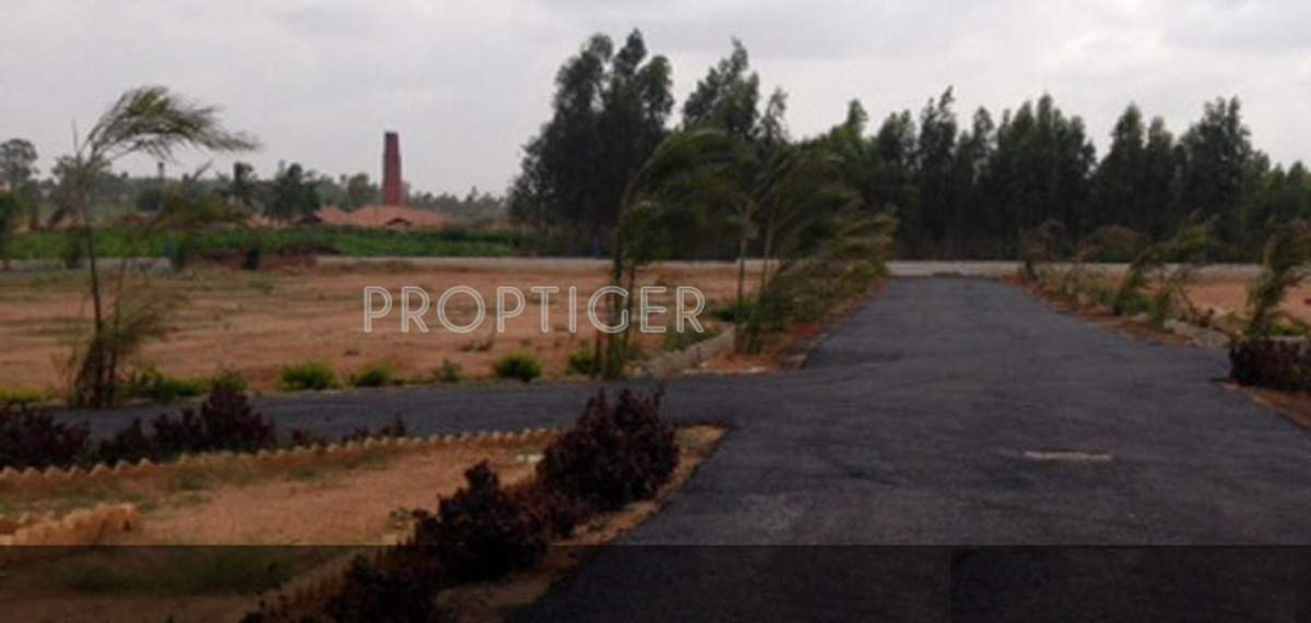 Images for Main Other of Sizzle Properties Atlantis