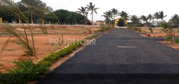 Images for Main Other of Sizzle Properties Atlantis Images for Main Other of Sizzle Properties Atlantis