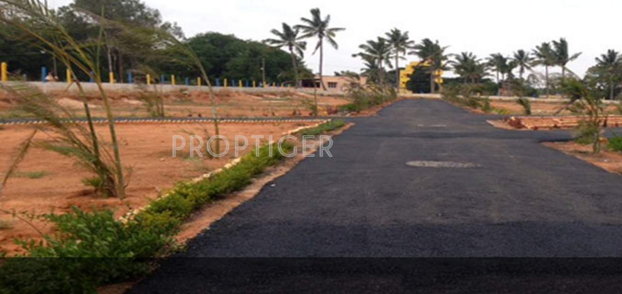 Images for Main Other of Sizzle Properties Atlantis