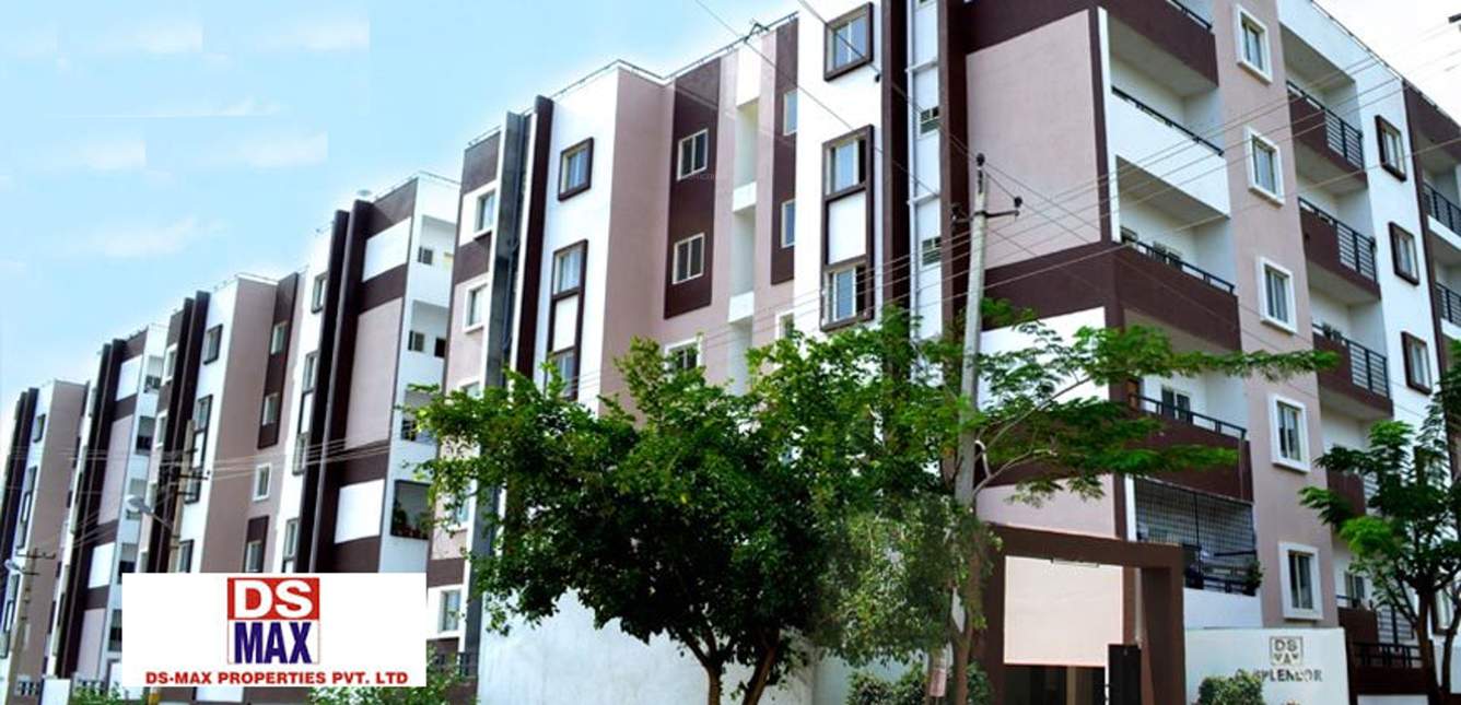  senorita Images for Elevation of DS Senorita