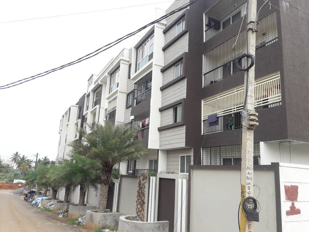  senorita Images for Project