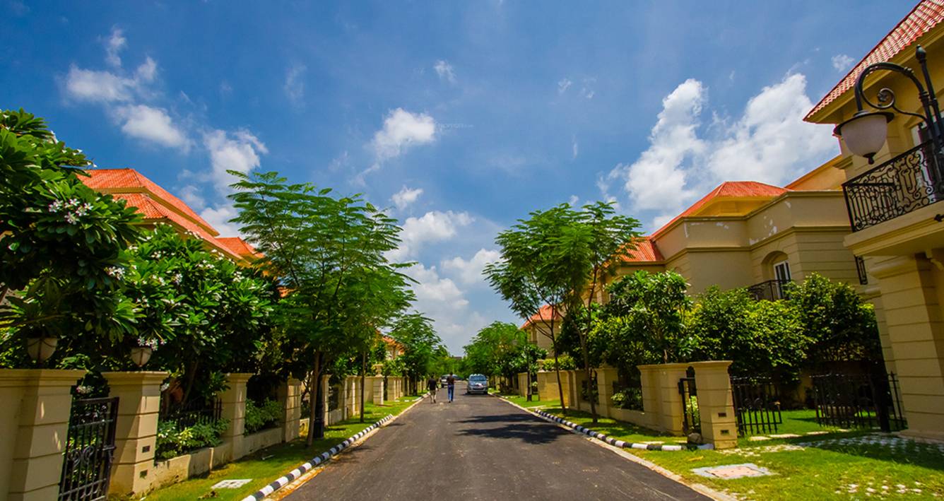 Images for Elevation of Shalimar Paradise