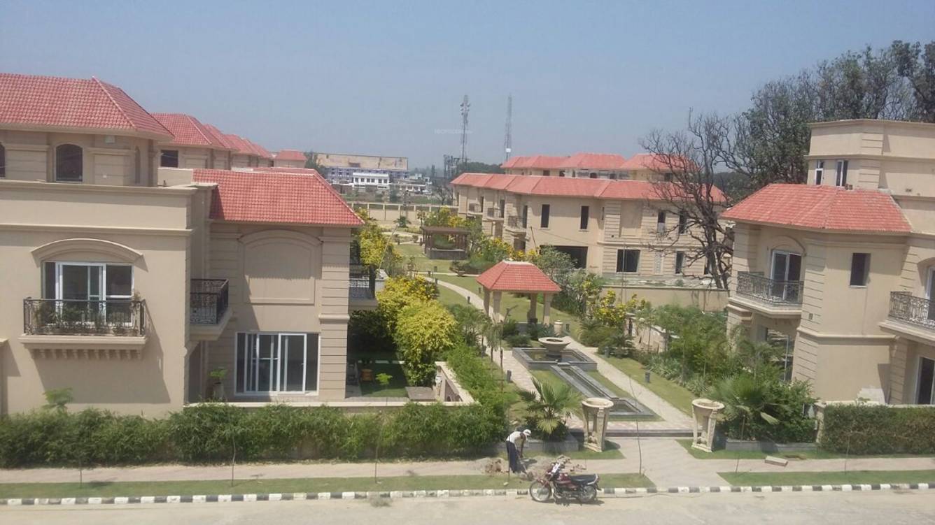 Images for Elevation of Shalimar Paradise