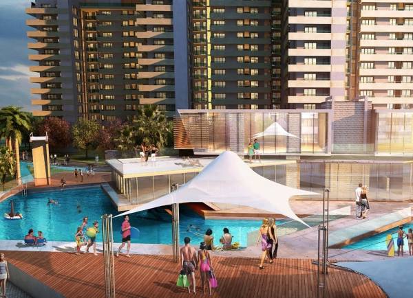 Swimming Pool arena-ii Swimming Pool