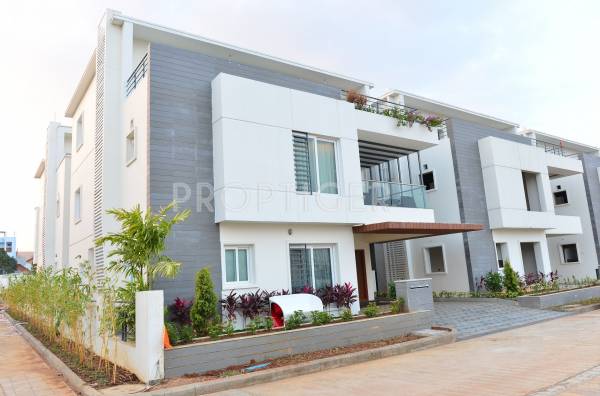 Images for Elevation of Relcon Marvel marvel Images for Elevation of Relcon Marvel