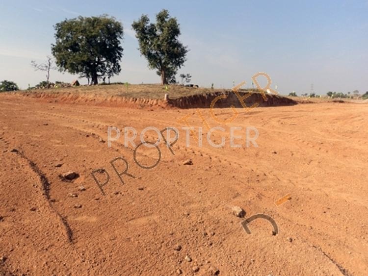 Images for Elevation of Victory Fable Nano