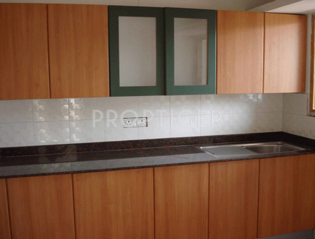 Images for Main Other of Nugget Belvedere