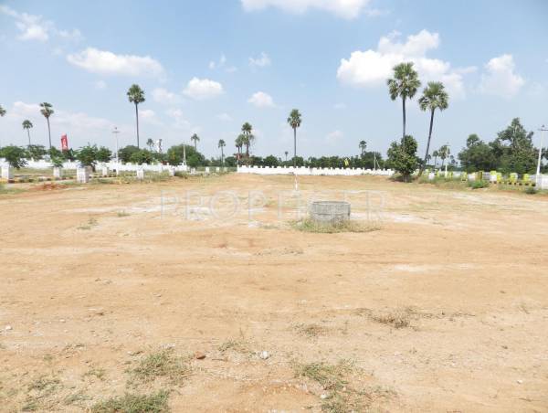 Images for Main Other of SS Alankritha II