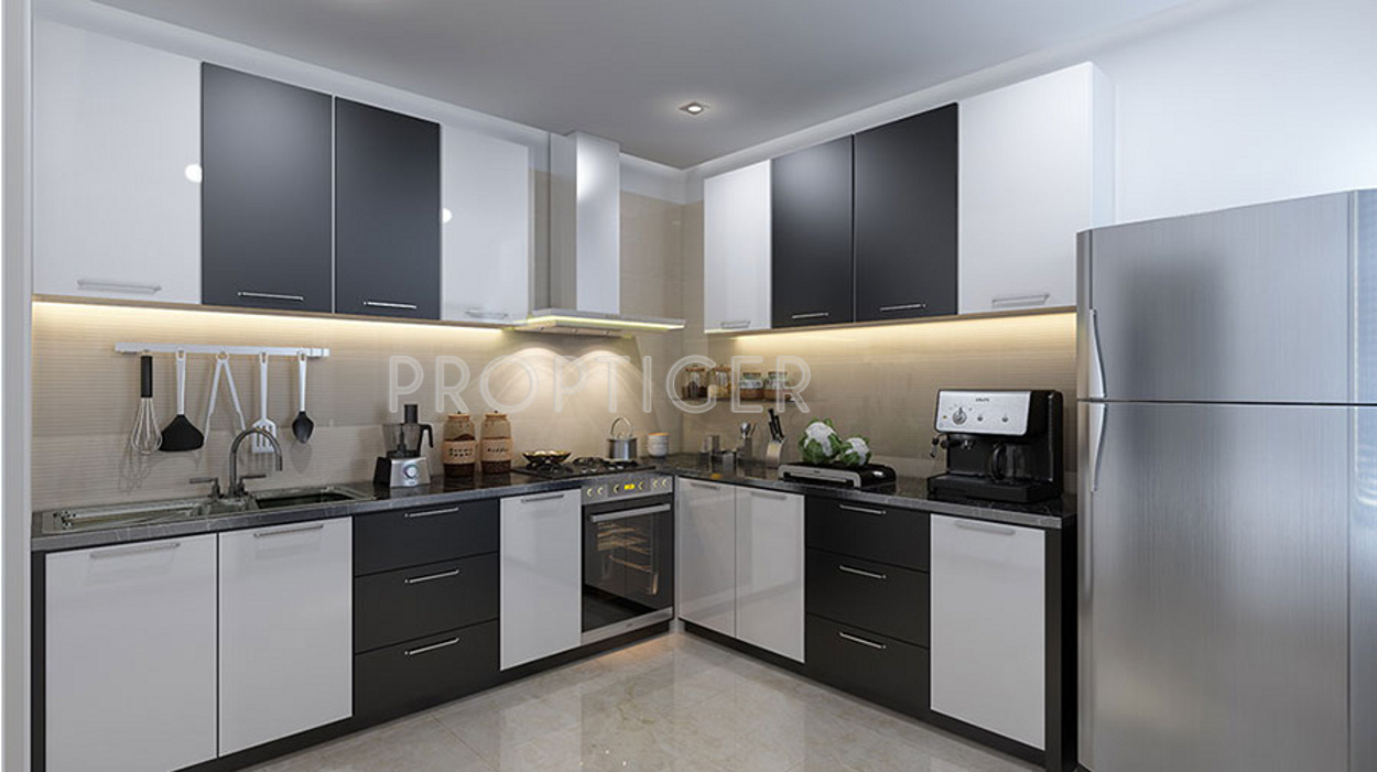 Images for Main Other of Adi The Address