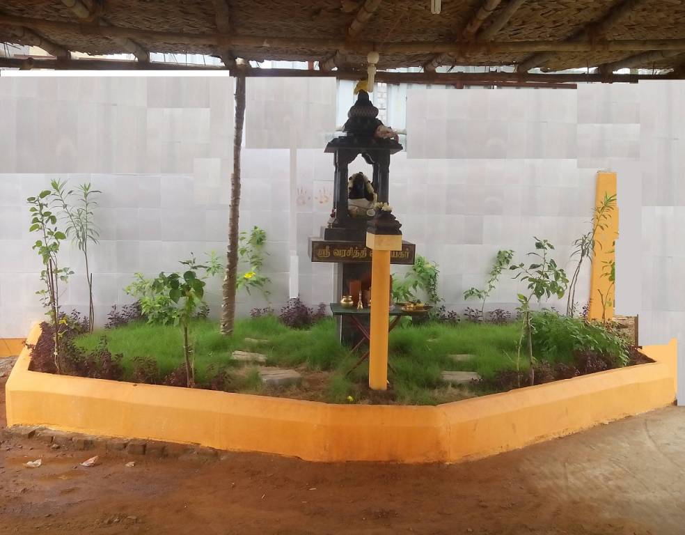  jasmine grove Others