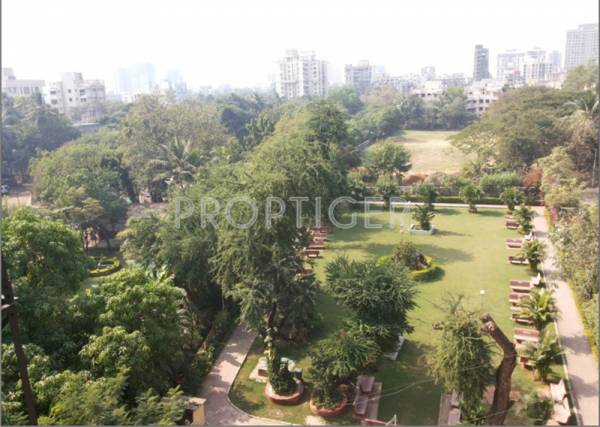 Images for Main Other of Triveni New Anamika Triveni Fortune