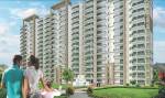 Images for Elevation of Shree Green Court