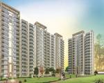 Images for Elevation of Shree Green Court