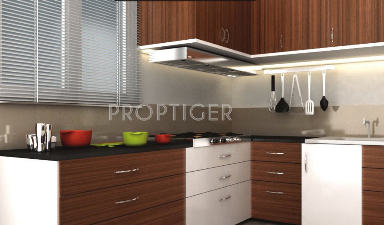 Images for Main Other of Victory Creek