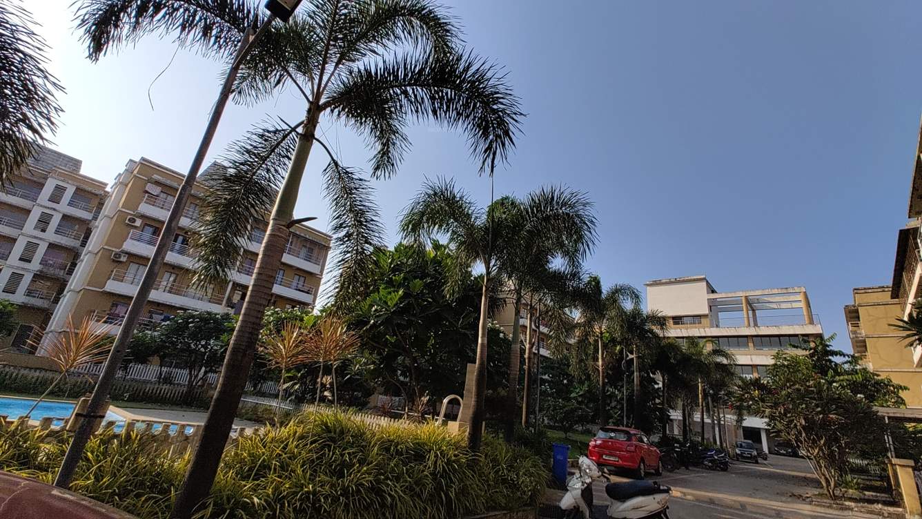 gardens Landscape Garden and Tree Planting