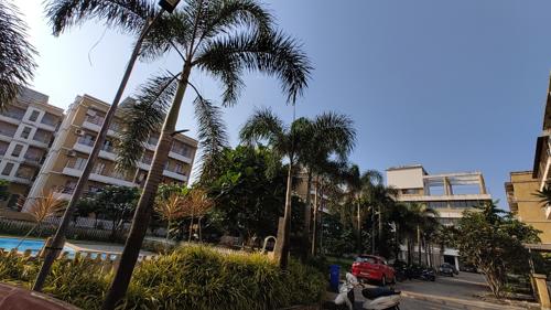 Landscape Garden and Tree Planting gardens Landscape Garden and Tree Planting