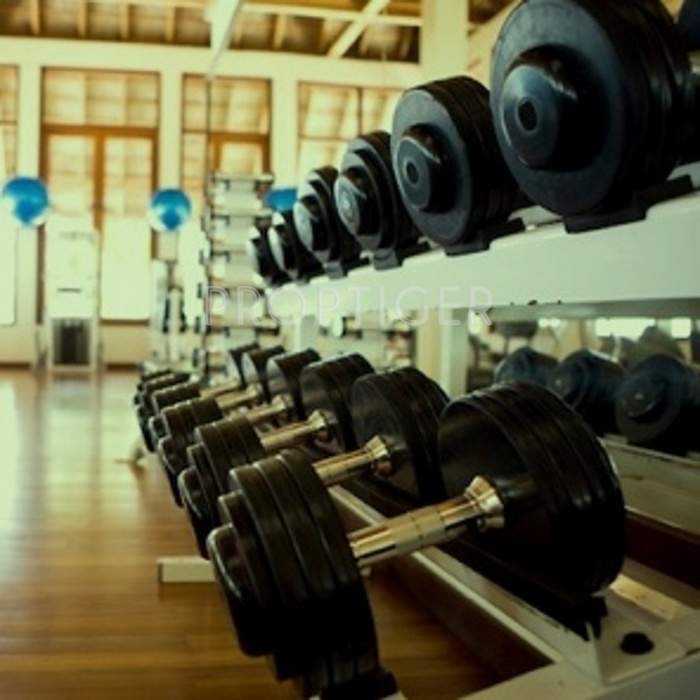 wind chimes Images for Amenities of Accurate Wind Chimes