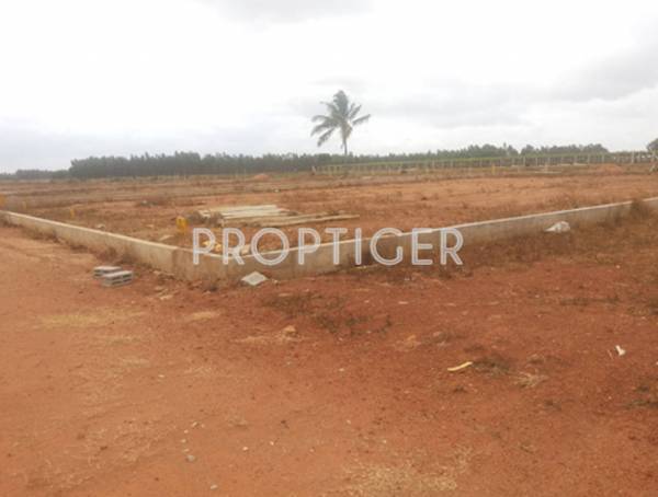 alisha-projects defence-hill-view Main Other