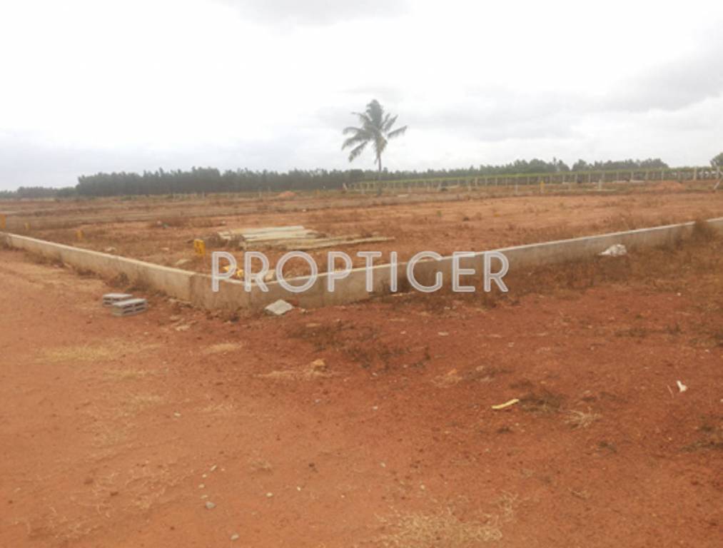 alisha projects defence hill view Main Other