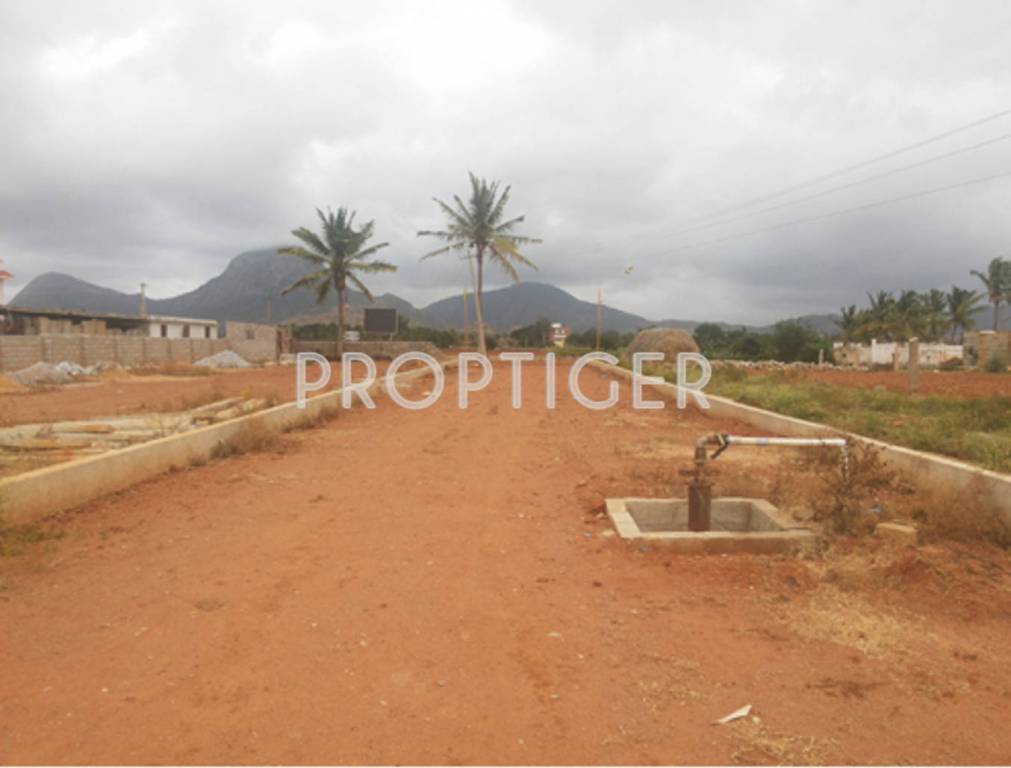 alisha projects defence hill view Main Other